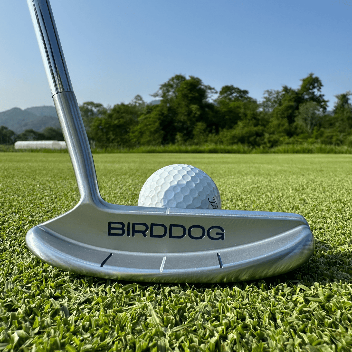 Bird Dog Putter 2.0