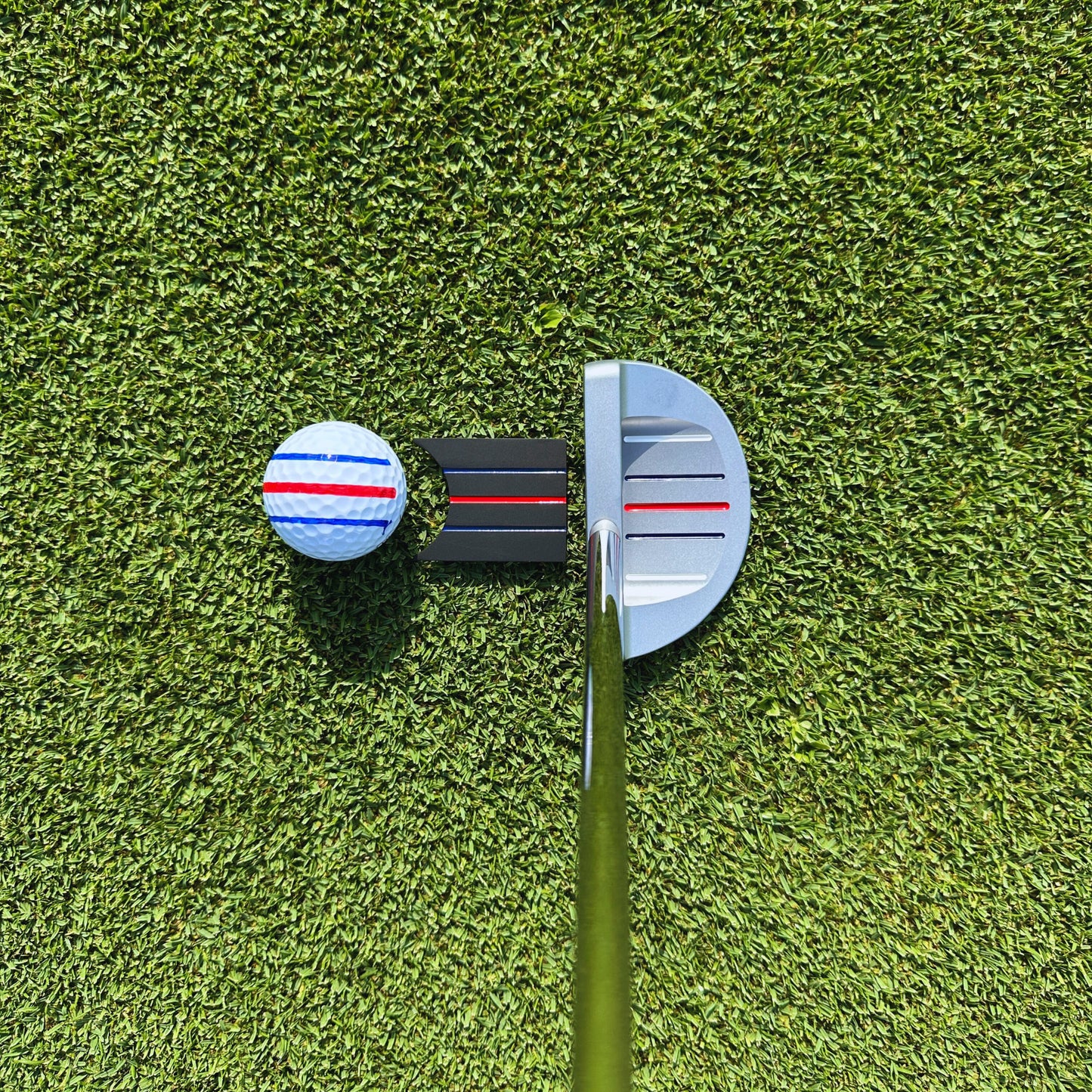 Dead Bug Putter