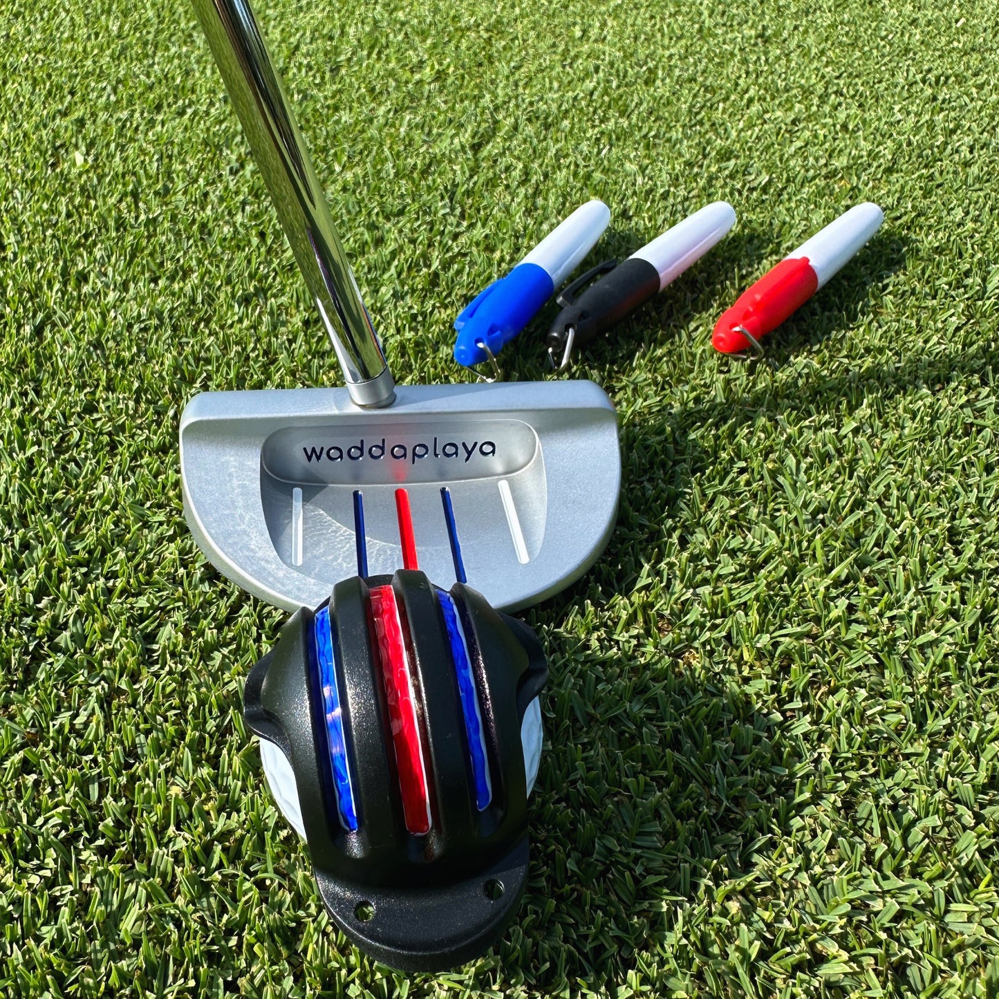 Dead Bug Putter