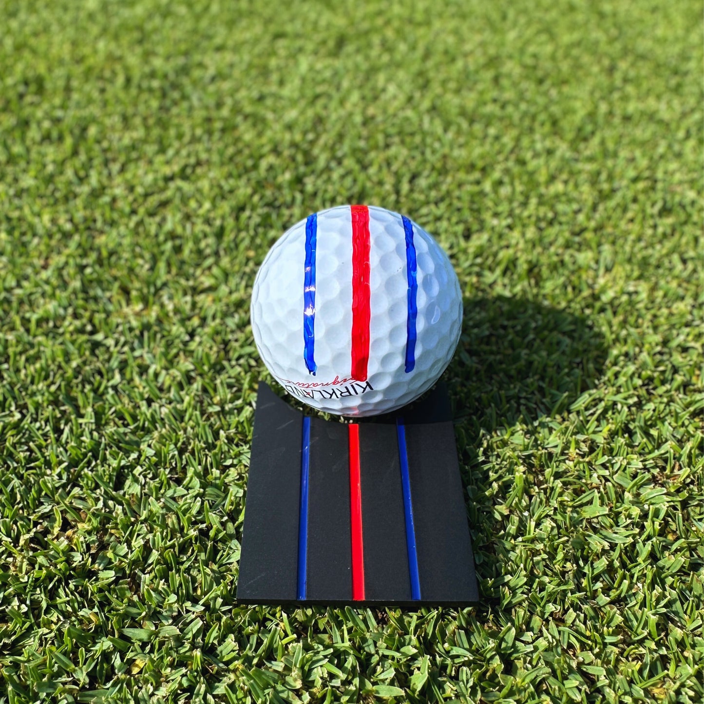 Dead Bug Putter