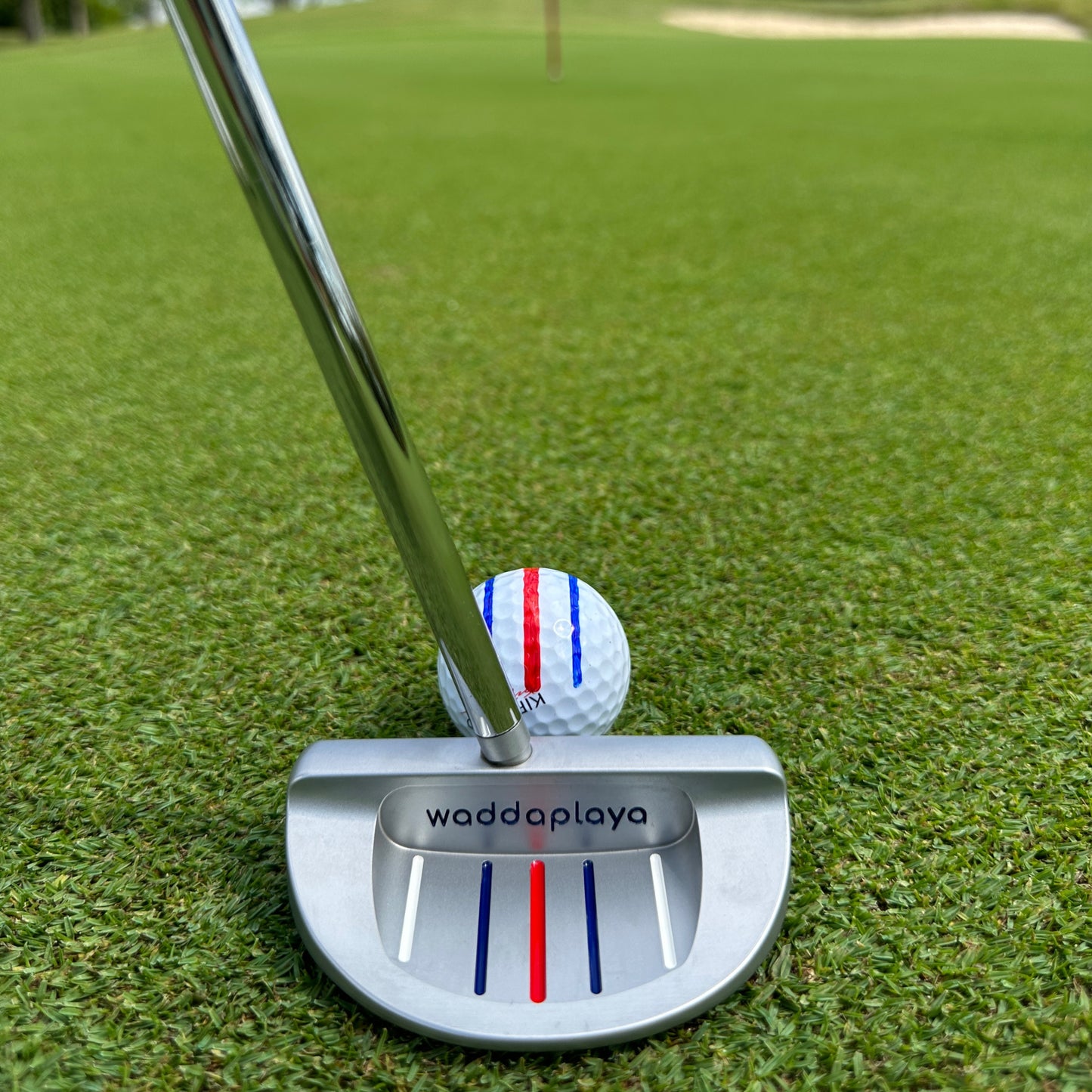Dead Bug Putter