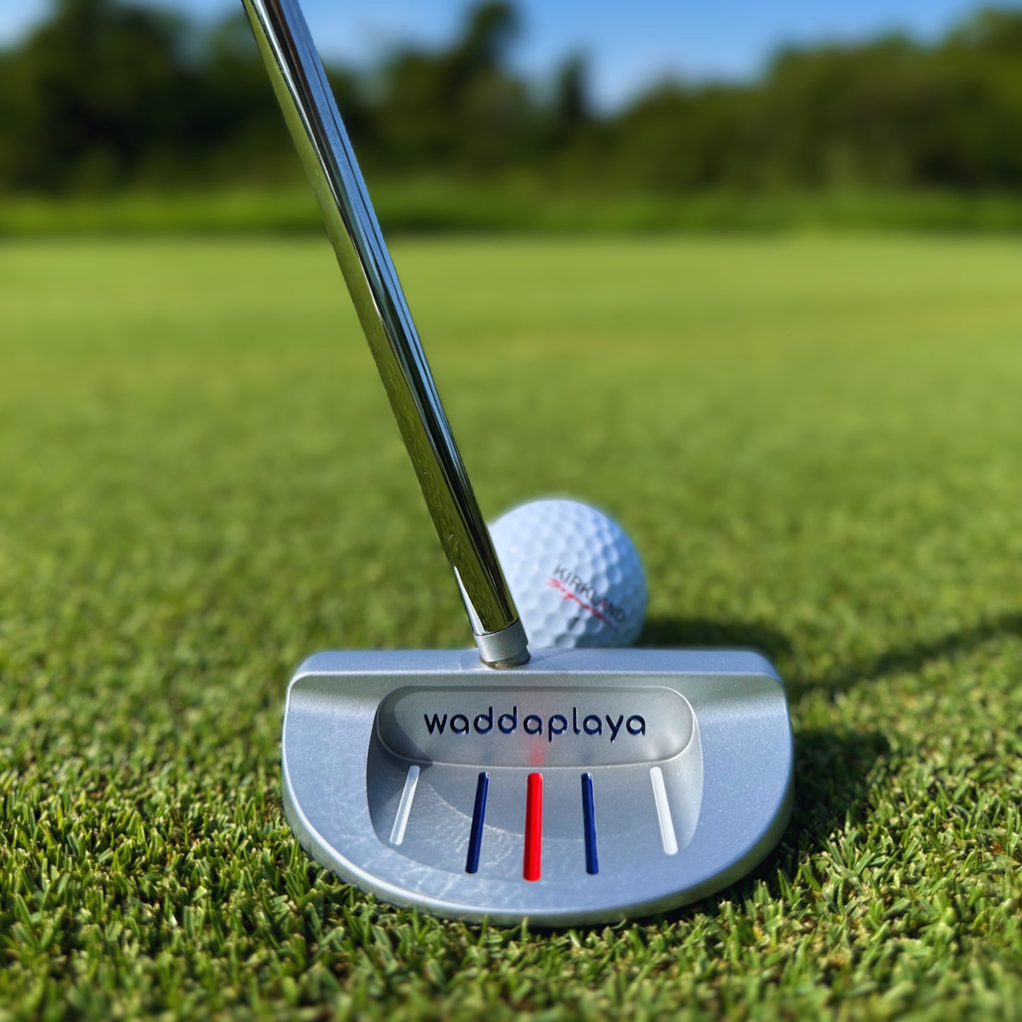 Dead Bug Putter