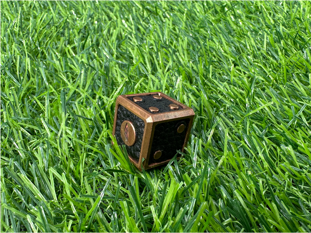 Bird Dog Putter 2.0 LEFTY