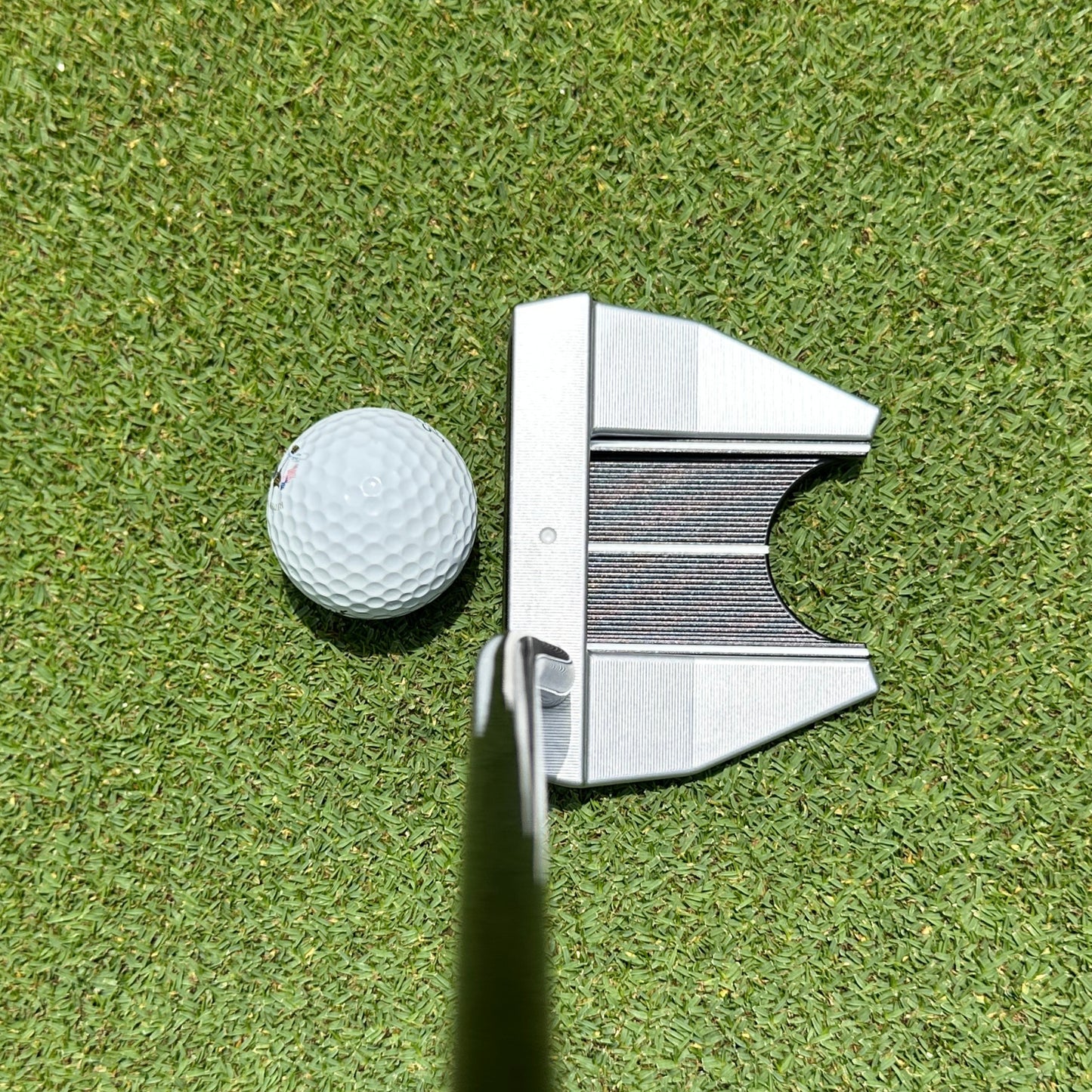 Black Finch Putter