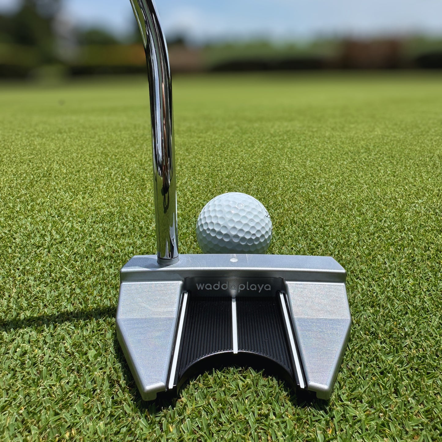 Black Finch Putter
