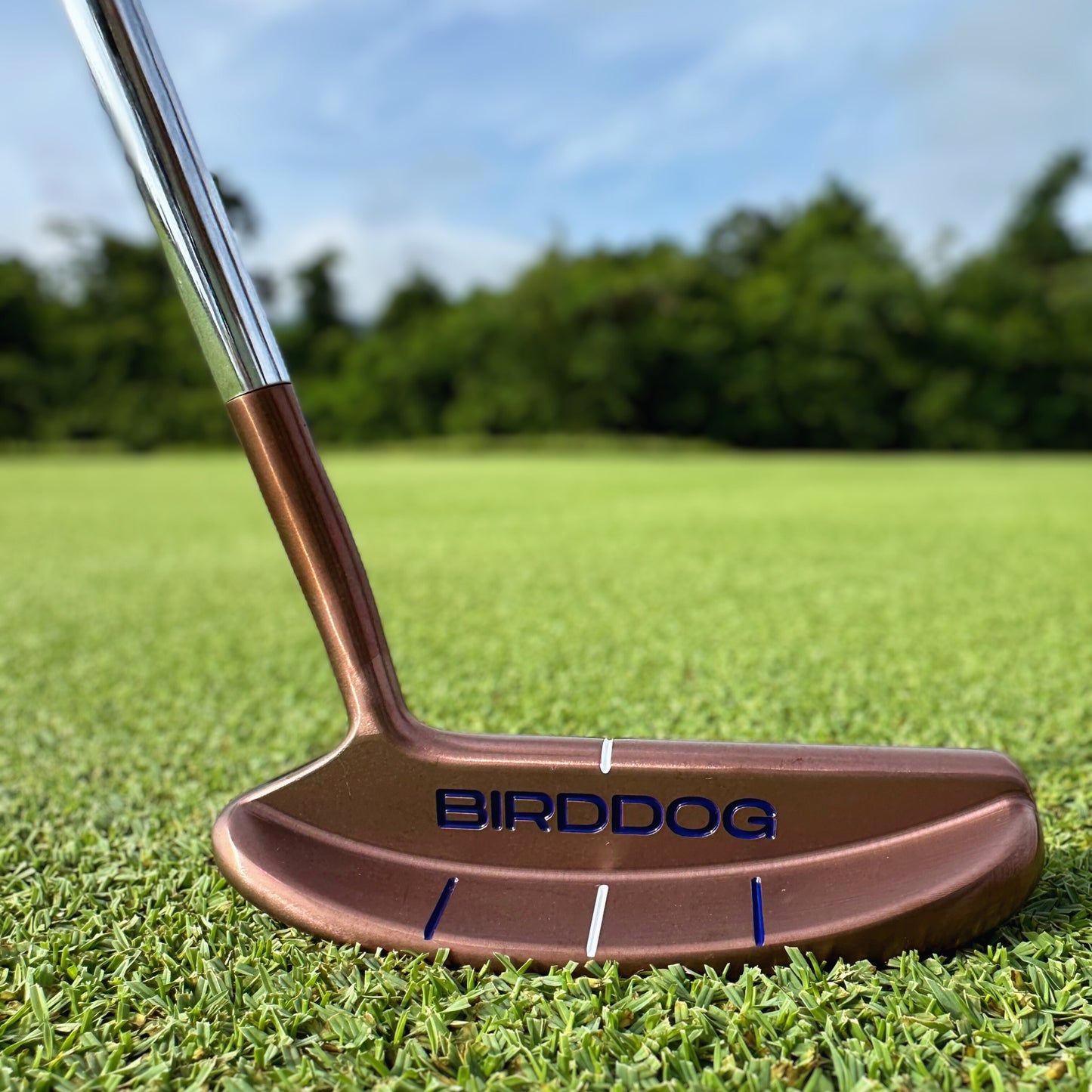 Bird Dog Putter 2.0