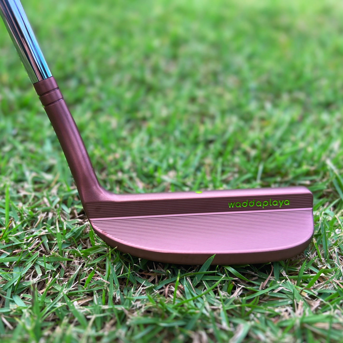 Confidential Classic Putter